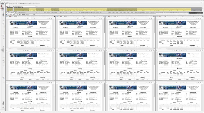 Run your own Payroll business !!!